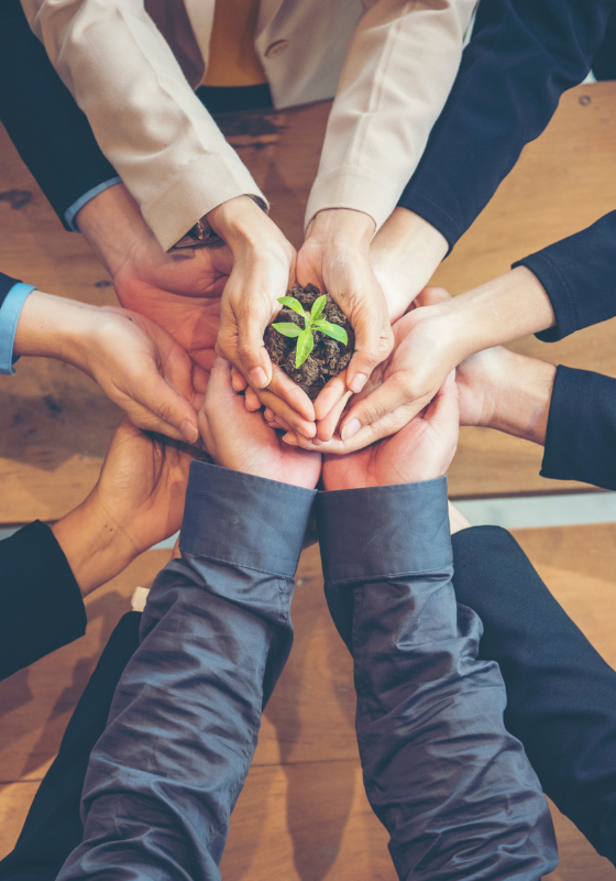 “La importancia de la sostenibilidad para potenciar la marca empleadora”