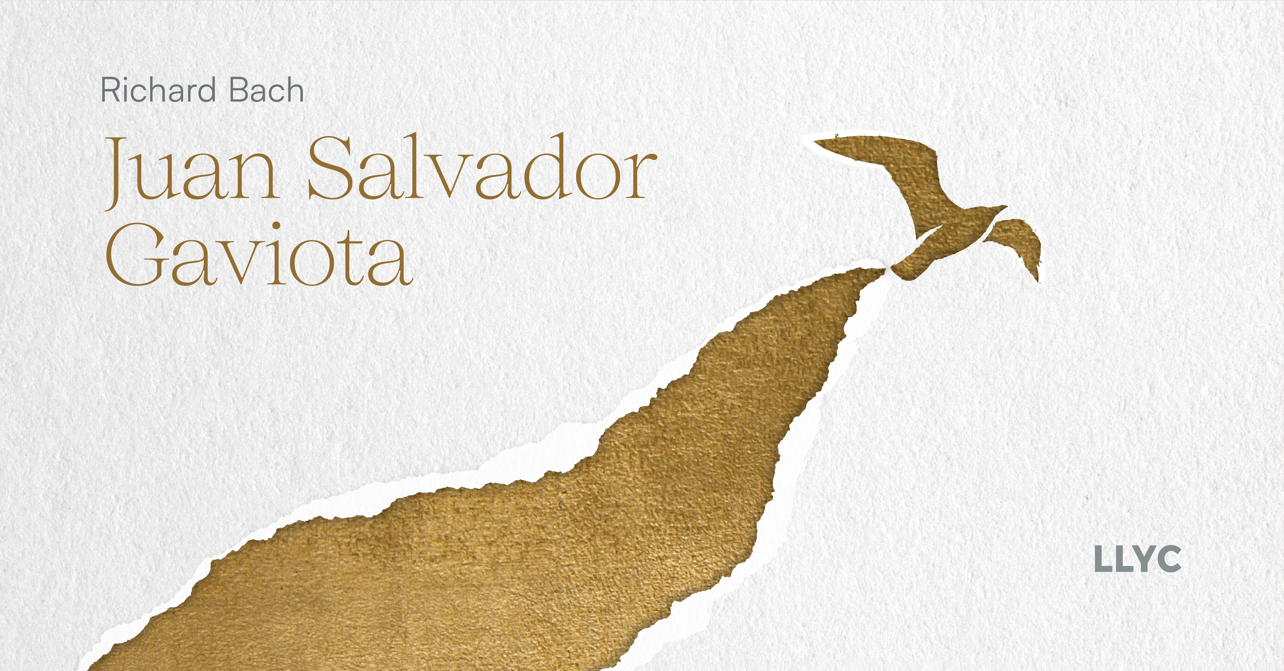 Juan Salvador Gaviota #LeerNosHaceLibresJuan Salvador Gaviota #LeerNosHaceLibres
