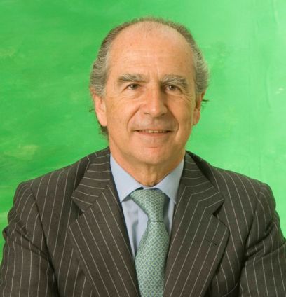 Ramón de Miguel Egea