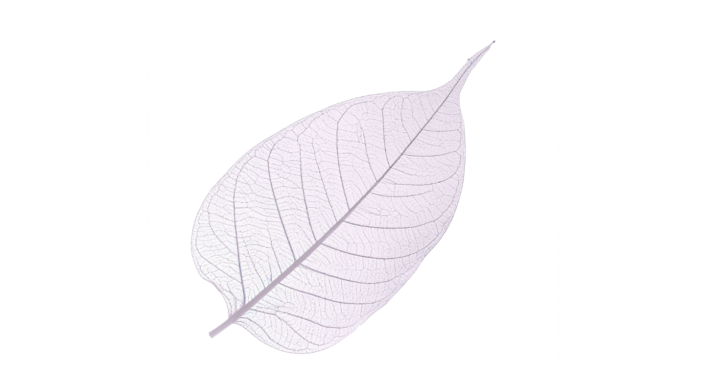 Todas las tendencias