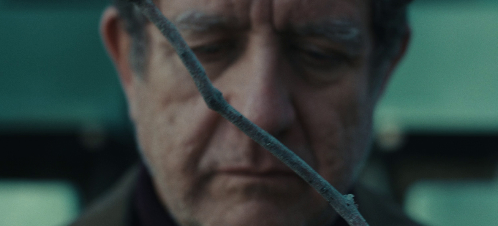 The power of “us”