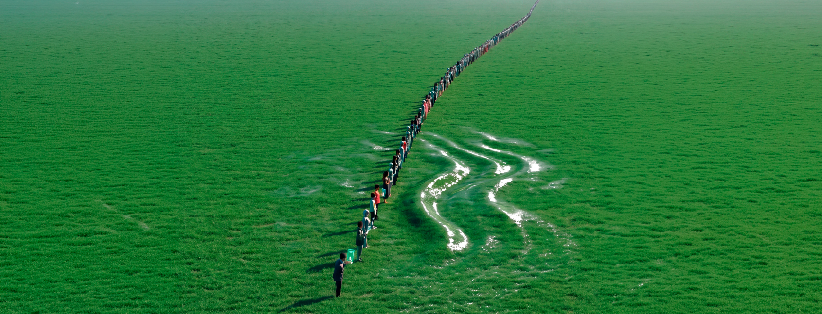 The AI Trust Paradox: Managing Risk Beyond IT